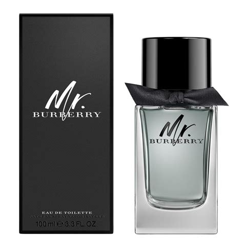 mr burberry perfume mens|burberry 100ml for men.